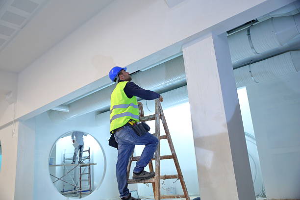 Best Commercial Mold Inspection  in Coeburn, VA